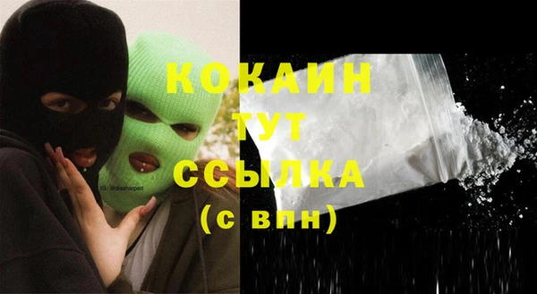 ECSTASY Пересвет