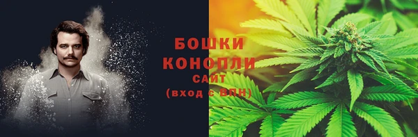 ECSTASY Пересвет