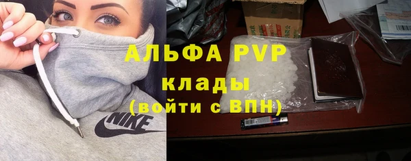ECSTASY Пересвет