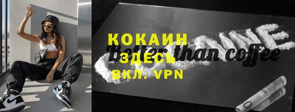 ECSTASY Пересвет