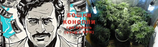 крисы Кемь
