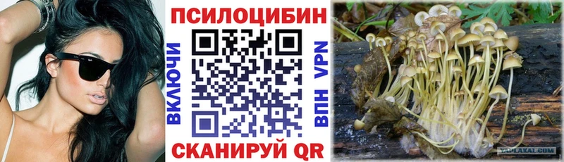 Псилоцибиновые грибы GOLDEN TEACHER Пролетарск